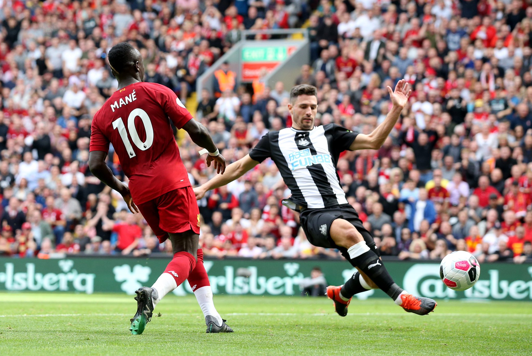 物共舞的卓 物共舞的卓